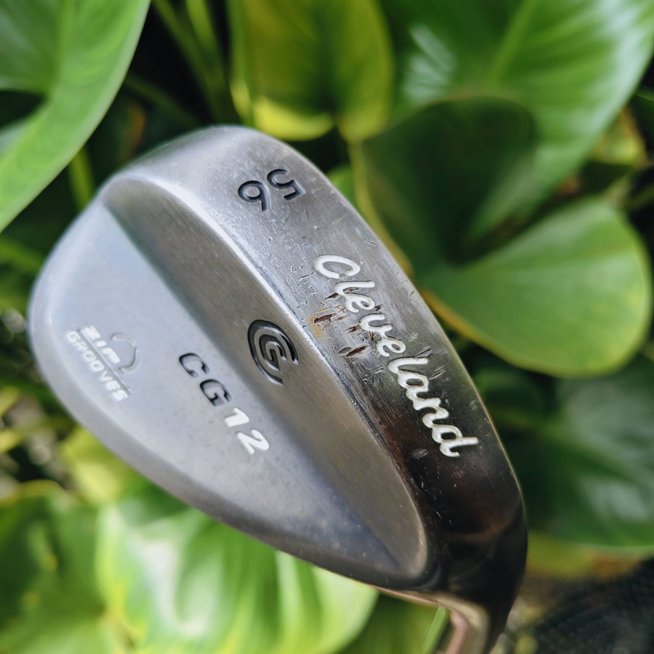 WEDGE CG12 ZIP GROOVE 56° BOUNCE 10 – ช็อตรอบกรีนแม่นยำ เหมาะระเบิดทราย!