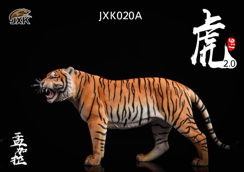 [สั่งจอง]JXK.Studio 1/6 JXK020A yellow Bengal tiger & JXK020B white Bengal tiger