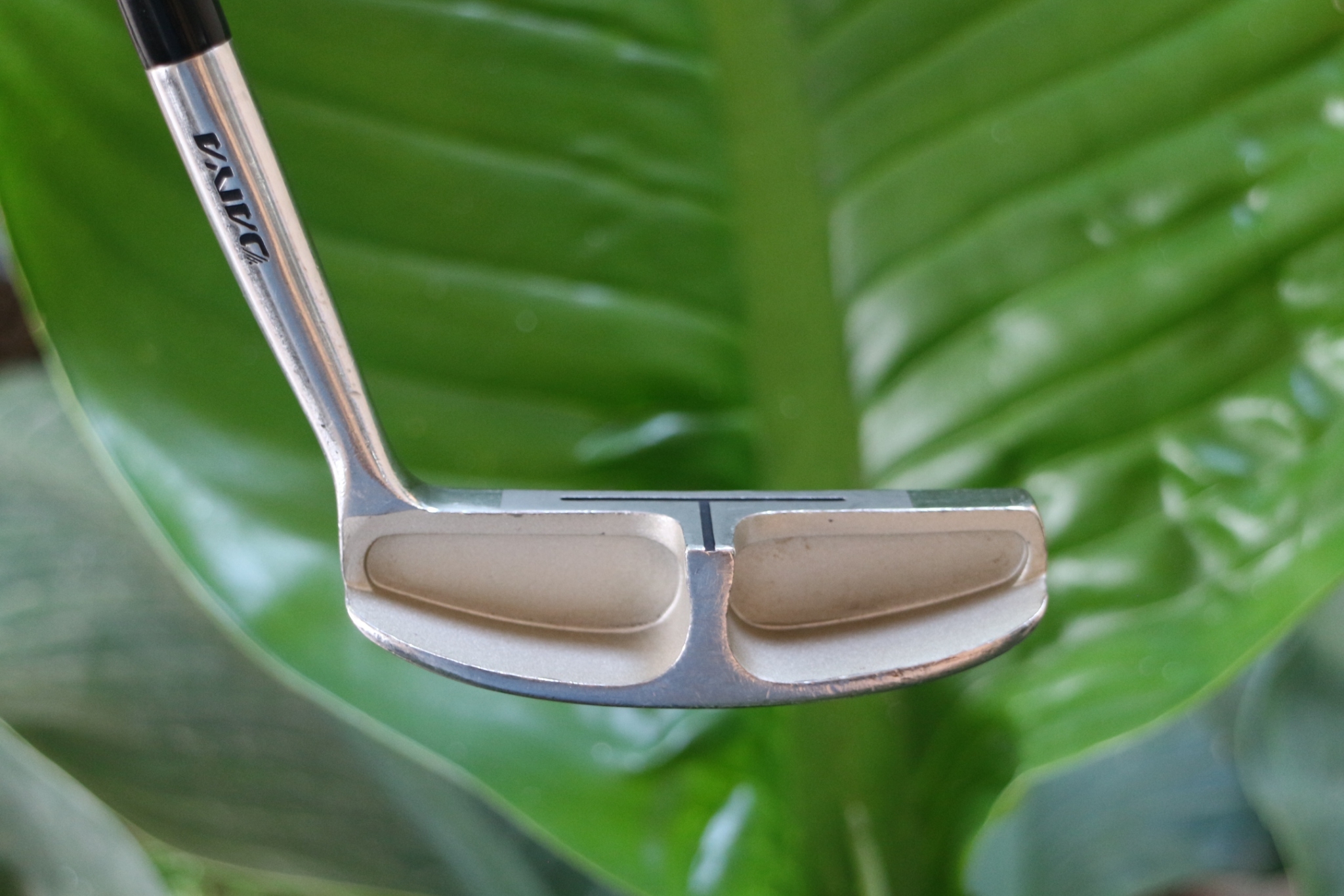 CHIPPER HEAVEN BOUNCER องศา28