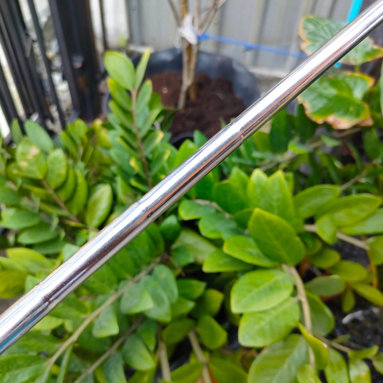 Callaway Paul Runyun Entirely Milled S2H2 ความยาว 34 นิ้ว พัตเตอร์ในตำนาน ก้านเสียบเจาะทะลุ ตรงกลางพัตเตอร์ และทำบล๊านซ์ ซ้าย ขวาได้ดีมาก ไม้กอล์ฟพรีเมี่ยมมือสอง By NakaraLuxurious