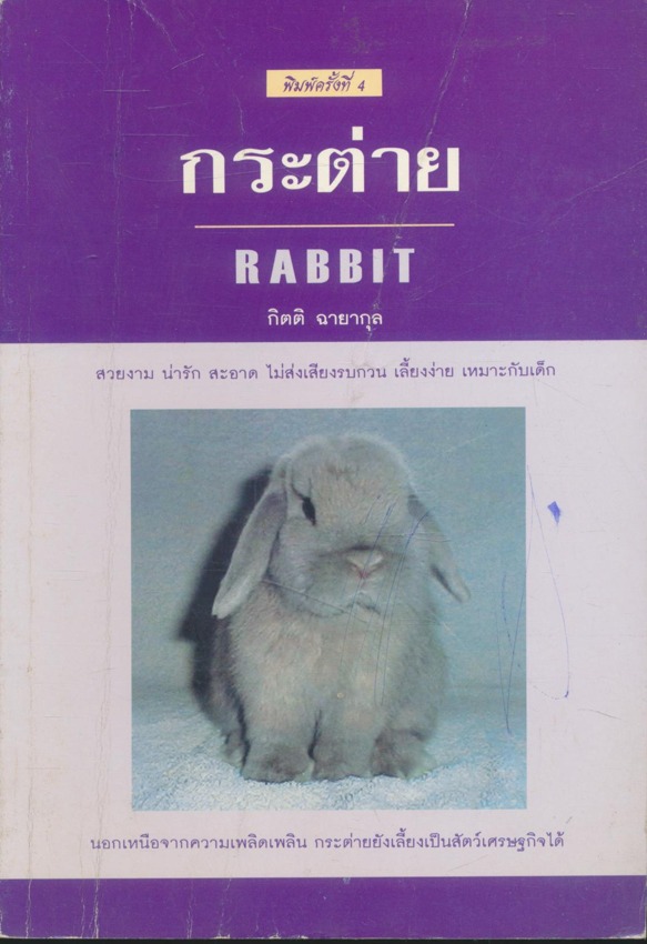 กระต่าย RABBIT