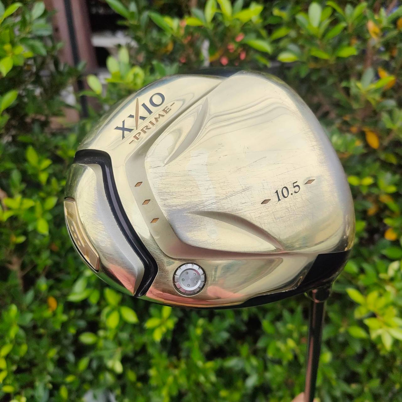 DRIVER XXIO PRIME ก้าน XXIO PRIME SP-600 FLEX SR องศา 10.5 สุดยอดไดร์เวอร์พรีเมี่ยมหน้าเด้ง แบรนด์อันดับ 1 จากประเทศญี่ปุ่น