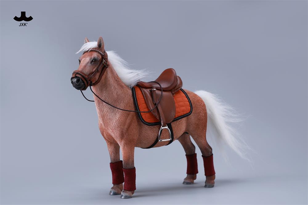 [สั่งจอง] JXK : Bangs Little Pony - Shetland Pony