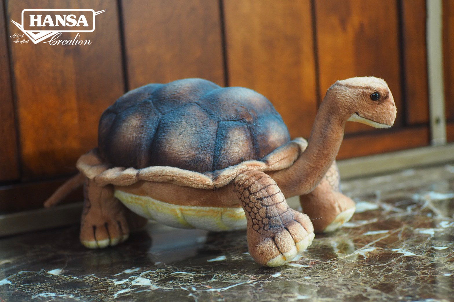 6461 Galapagos Turtle 30cm.L