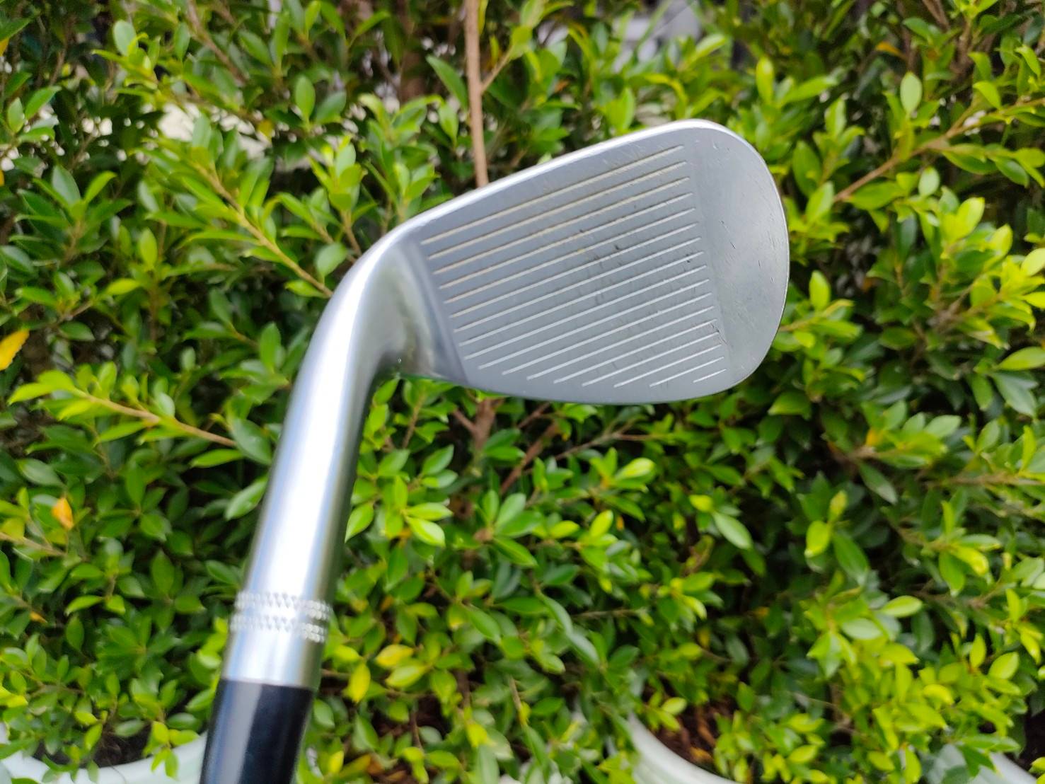 WEDGE Titleist COLD FORGED M GRIND องศา 56