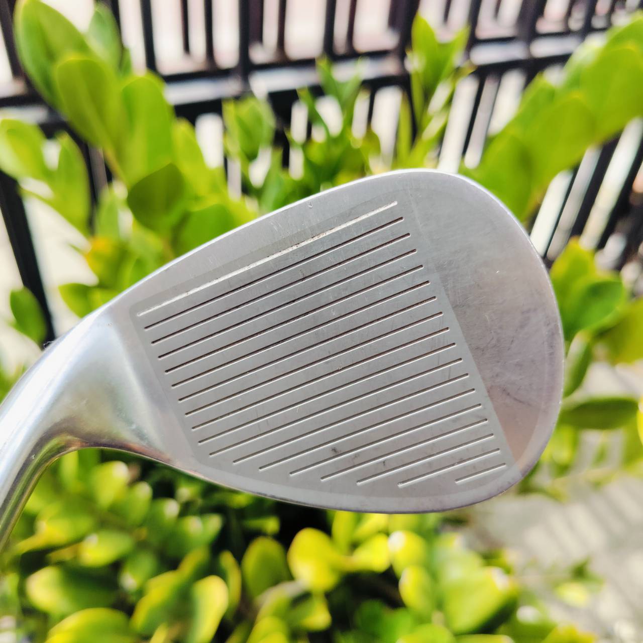 WEDGE XXIO8 เป็น AW องศา 50 ก้าน XXIO MP800 FLEX S หน้าเด้ง มีแผ่นเด้ง TITANIUM อีกชั้นที่หน้าไม้ เหมาะสำหรับท่านที่ชิพไม่ได้ระยะ ยอดนิยมสูงสุดในญี่ปุ่น ไม้กอล์ฟพรีเมี่ยมญี่ปุ่นมือสอง By NakaraLuxurious