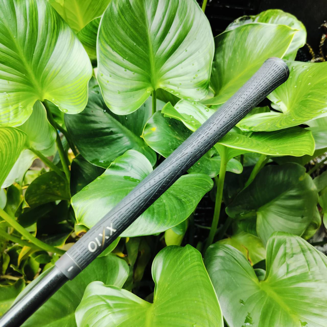 เหล็ก 8 XXIO หน้าเด้ง!!! IMPACT POWER BODY ก้าน MP300 FLEX R ตีไกลมากกว่าเหล็กทั่วไป และตีง่ายมาก CAVITY ลึก วัสดุพรีเมี่ยมญี่ปุ่น ฟีลลิ่งดีมาก ไม้กอล์ฟพรีเมี่ยมมือสอง ของแท้ By NakaraLuxurious