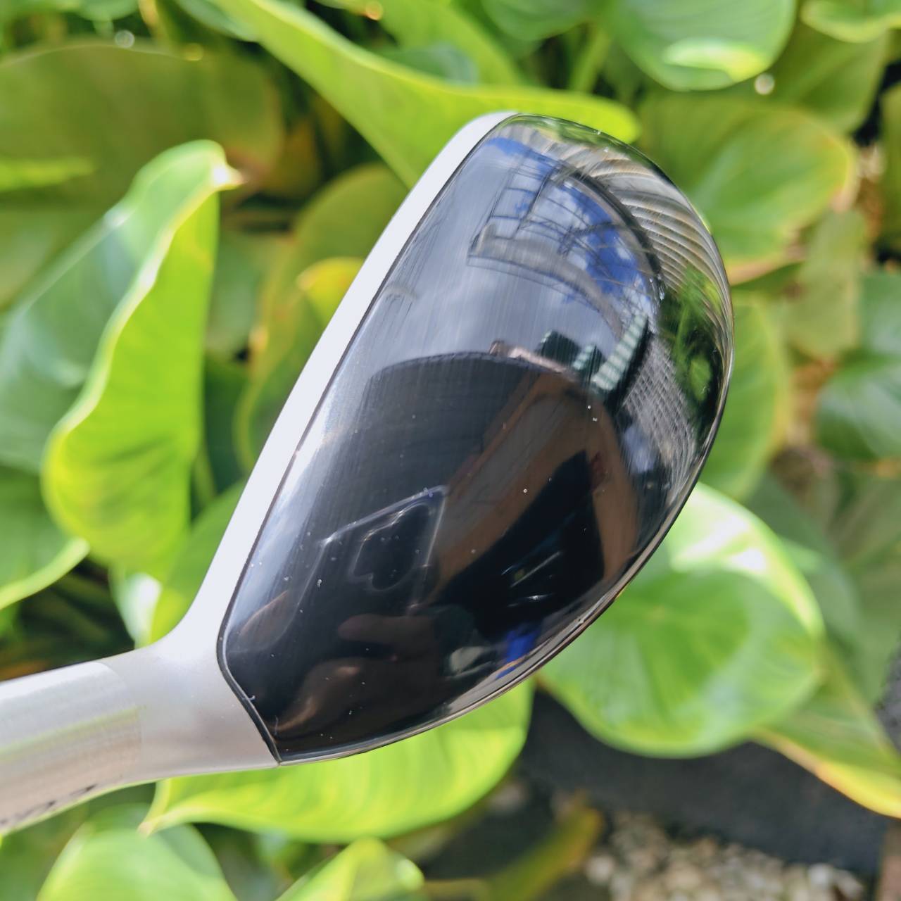 HYBRID Cleveland Launcher DST ออกแบบหัวให้ Confidence สูง รูปทรงดั้งเดิม ดูแล้วมั่นใจเวลายืน Setup