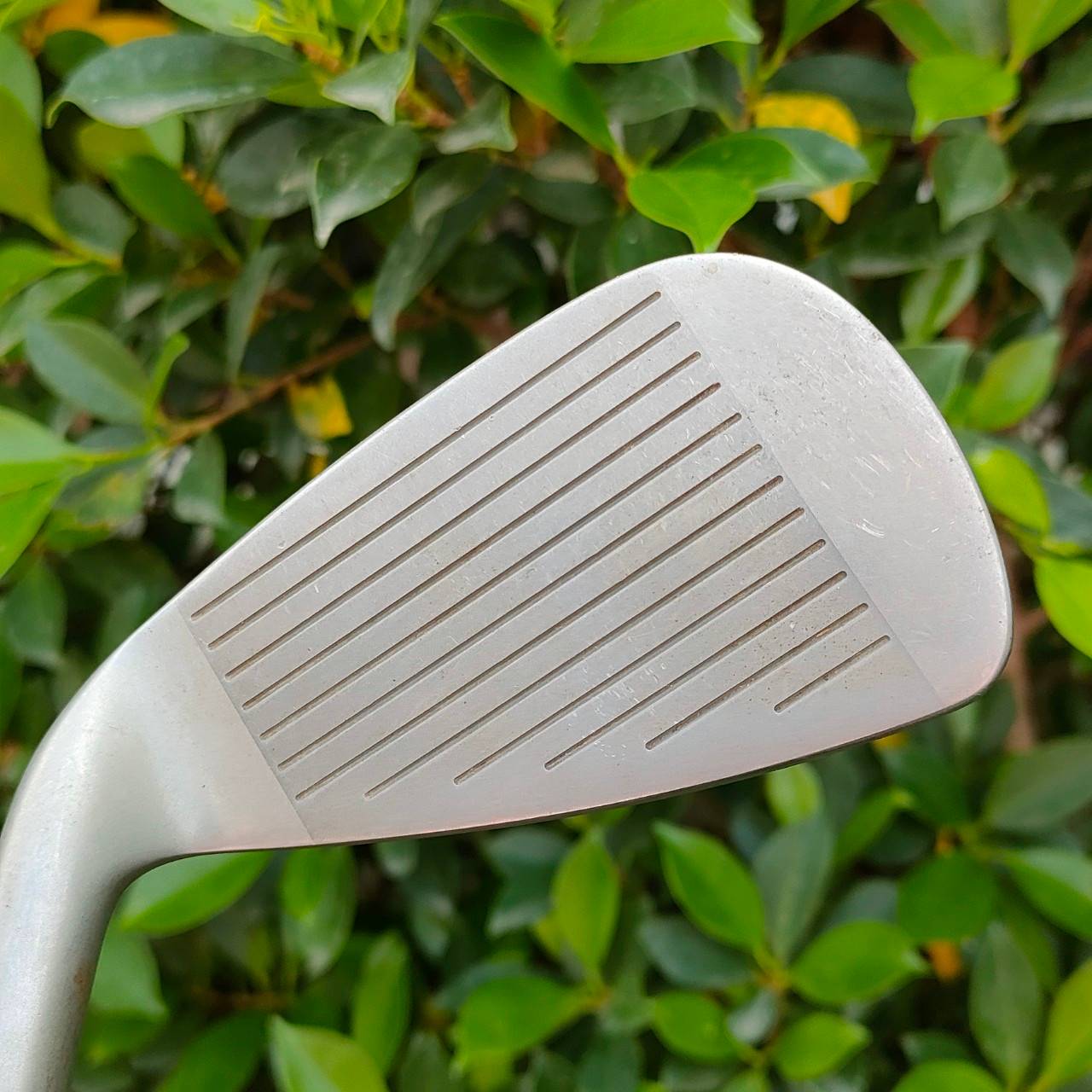 ** ไม้กอล์ฟสำหรับผู้หญิง ** ชุดเหล็ก DAIWA SPECTRON มีเหล็ก 5-9 เเละ PW SW ก้าน KEVLAR VX FLEX L