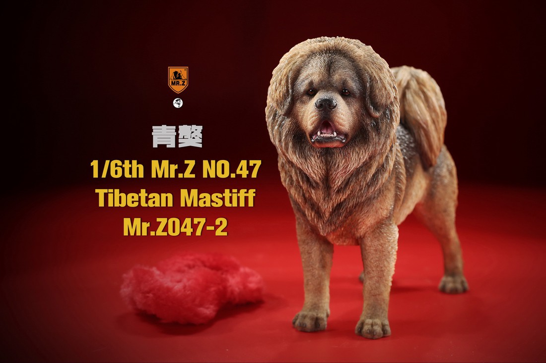 [สั่งจอง] MR. Z Animal Model MRZ047 1/6th Tibetan Mastiff