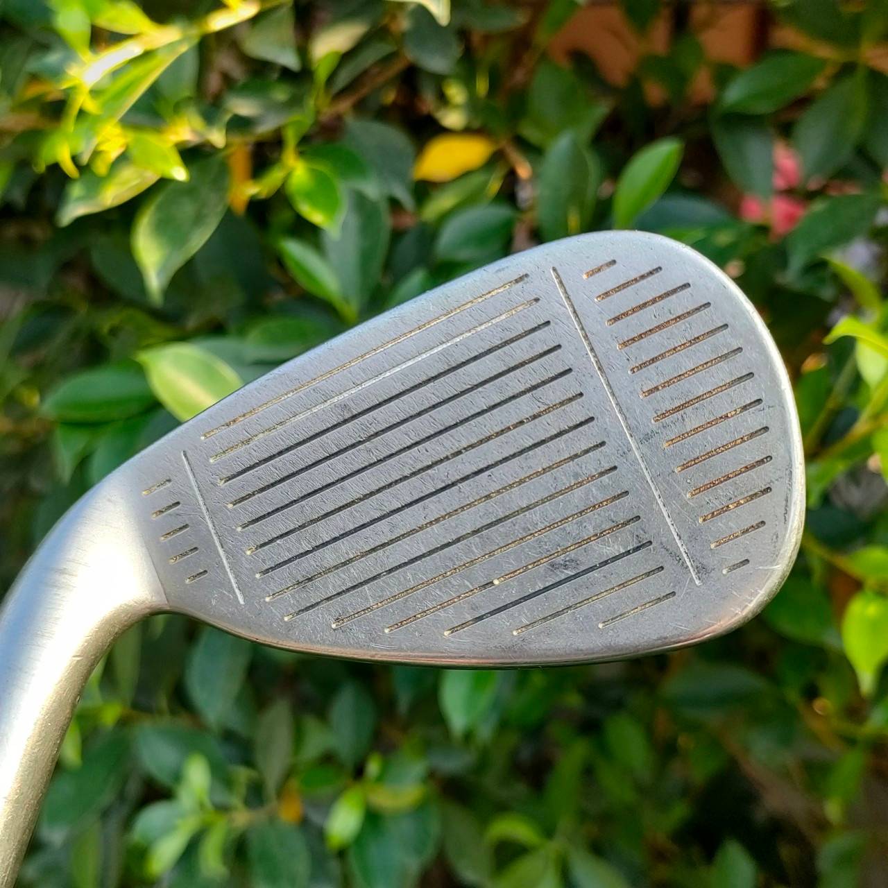 ** ไม้กอล์ฟสำหรับผู้หญิง ** ชุดเหล็ก TAYLORMADE SUPER STEEL BURNER มีเหล็ก 5-9 เเละ PW SW ก้าน TAYLORMADE FLEX L เป็นชุดเหล็กที่ตีง่าย พิเศษมาก ผลิตได้ดีแบบสุดๆ วัสดุทันสมัย ตีดีมากๆครับ ตีง่าย ได้ระยะ