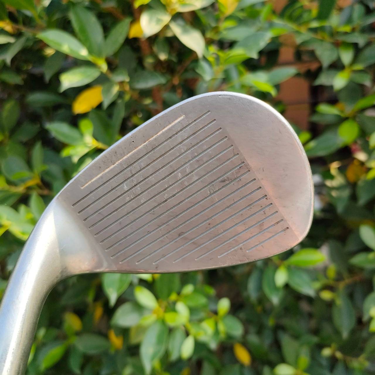 MIZUNO INTAGE POWER TRJ X3 ก้าน N.SPRO950 GH FLEX R ฟรอป WEDGE องศา 58 ครับ