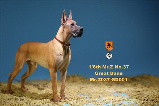 [สั่งจอง]Mr. Z Animal Model No.37: 1/6th The German Great Dane(all 6 colors)