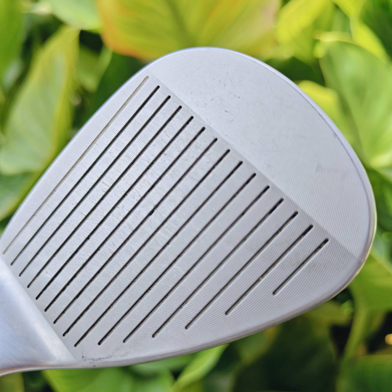 WEDGE Ping Tour-W 50°/12 ก้าน PING AWT FLEX R ขึ้นชื่อเรื่องชิพง่าย นุ่ม แม่นยำมาก