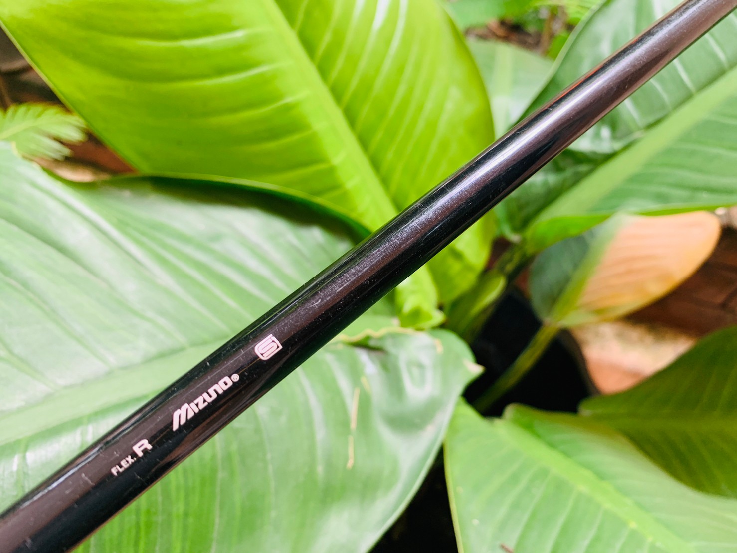 DRIVER 1 MIZUNO ZOID