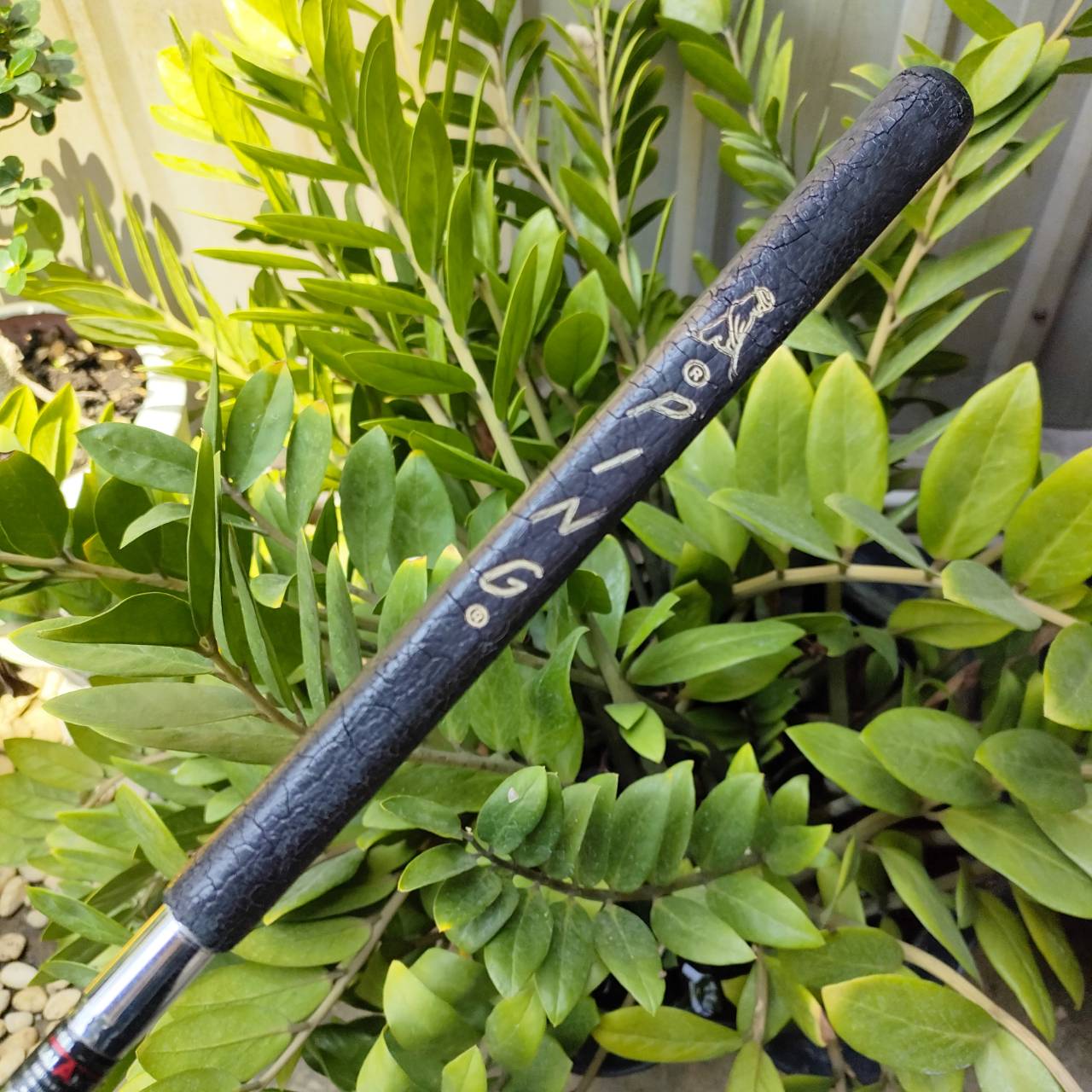 PUTTER PING 1 - A Phoenix, Arizona 85068 พัตเตอร์ในตำนานที่ตามหากันเยอะมาก พัตต์แล้วดัง ปิ๊ง เป็นต้นกำเนิดของแบรนด์ PING ไม้กอล์ฟพรีเมี่ยมมือสอง ของแท้ By NakaraLuxurious