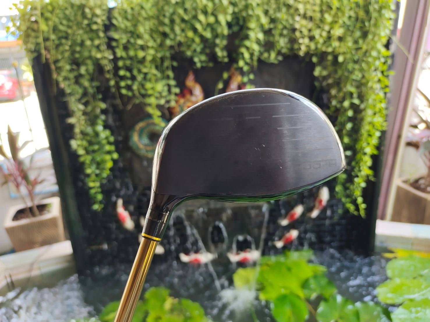 TSURUYA AXEL GOLD PREMIUM II