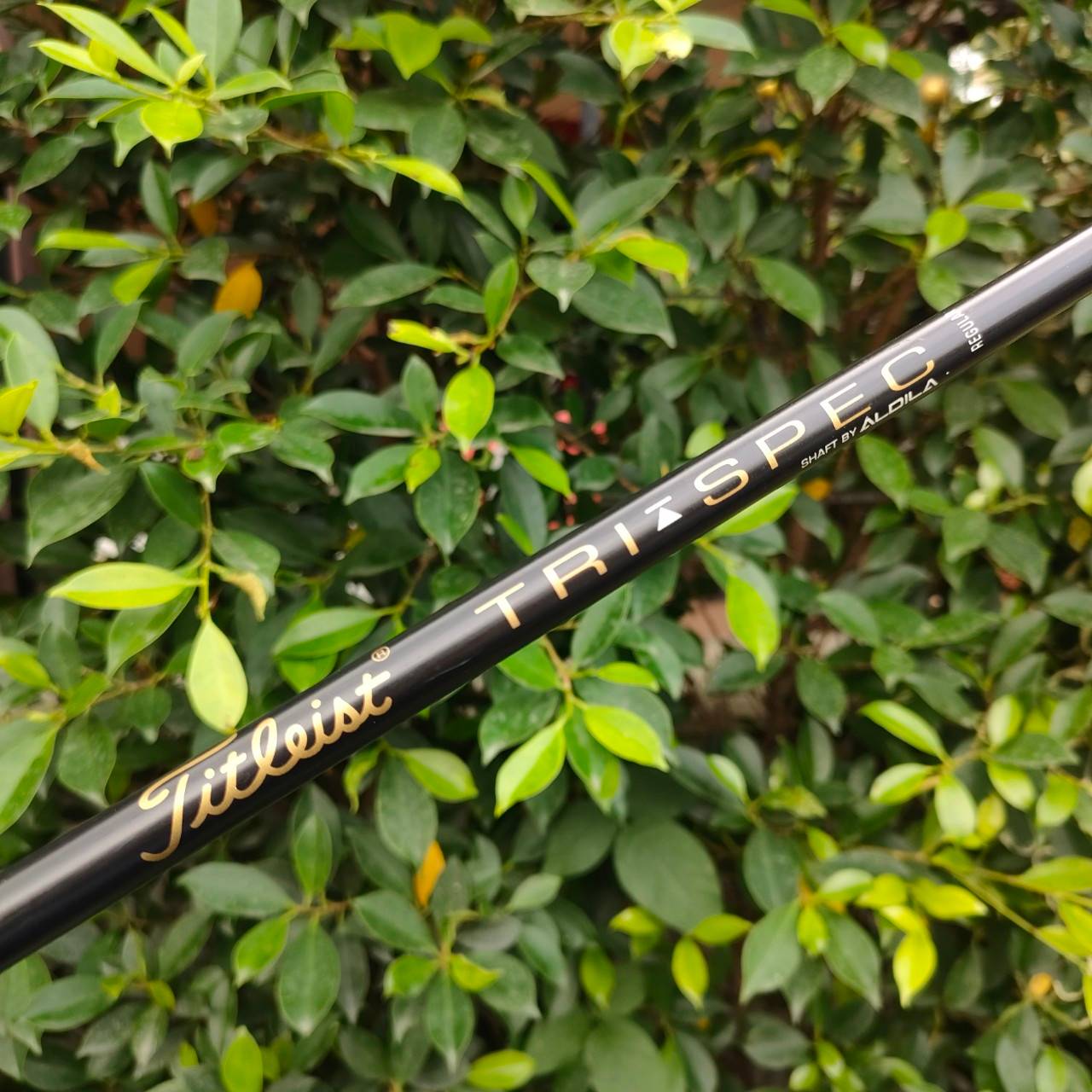 SW TITLELIST DCI OVERSIZE+ ก้าน TRI SPEC FLEX R องศา 56