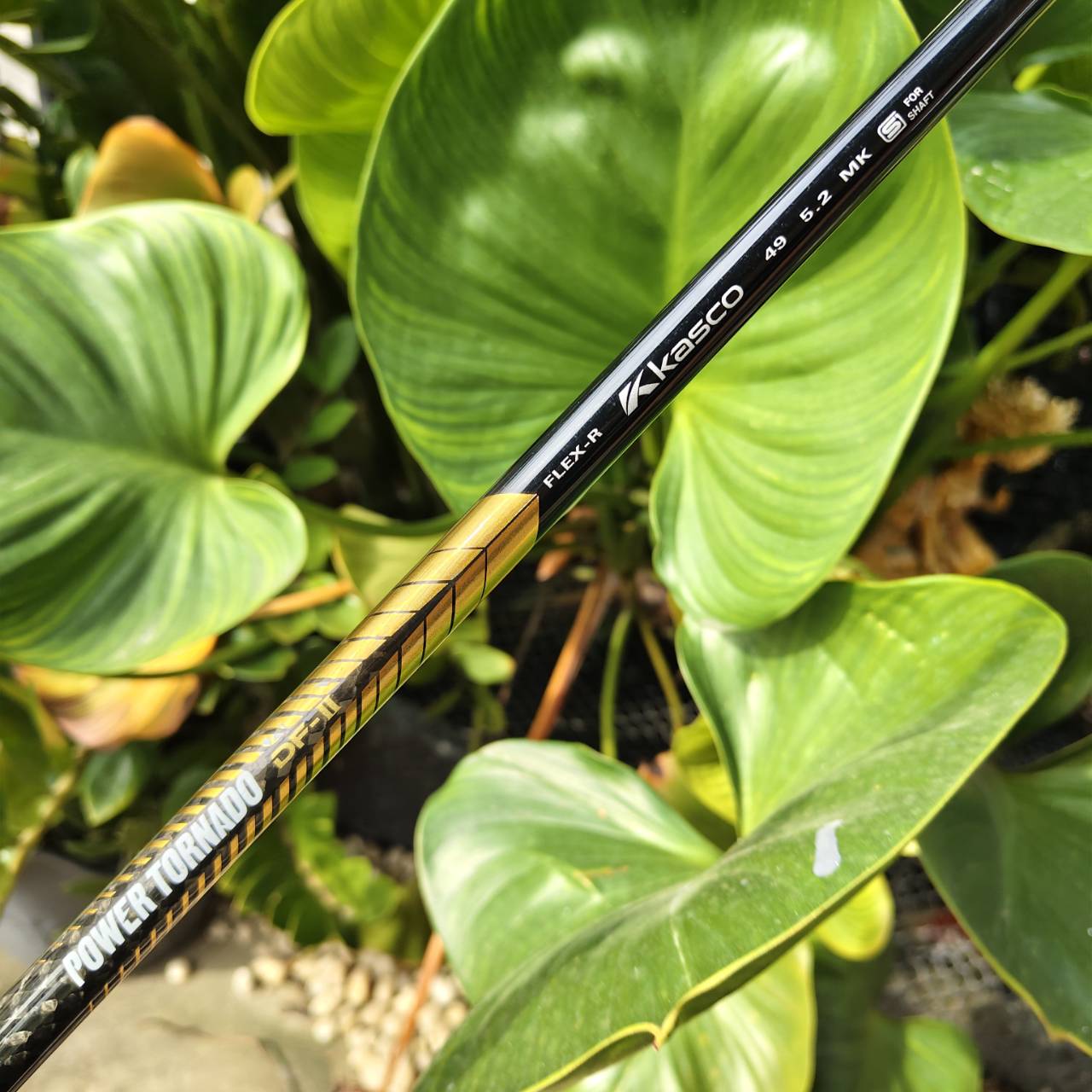 Driver KASCO POWERTORNADO DF-II องศา 10.5° | FLEX R ไดรเวอร์ตีง่ายมากกกก!