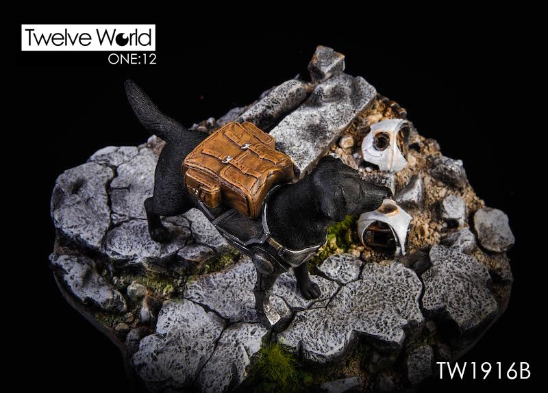 [สั่งจอง]TWTOYS 1/12 The ruins of the battlefield TW1916A TWTOYS 1/12 Mechanical dog TW1916 B/C/D/E