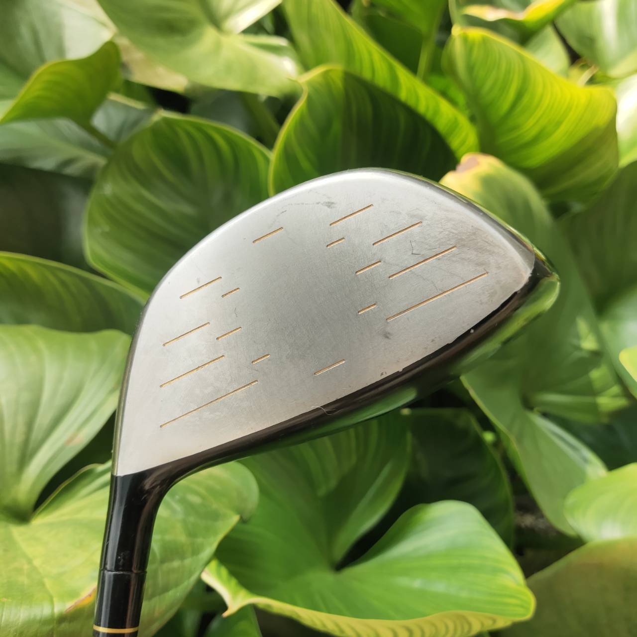 Driver หน้าเด้ง!!! Katana Sword LX8 ตีไกลไดร์ฟตรง ชนรั้วชนธง ก้าน FUJIKURA MOTORE FLEX R