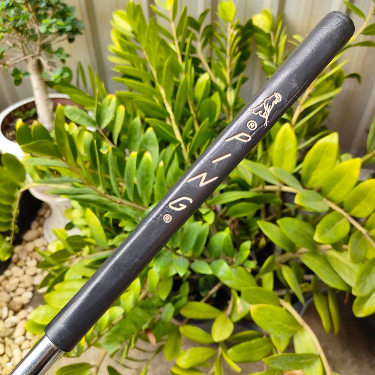 PUTTER PING PAL ตัวแรก ความยาว 35 นิ้ว Phoenix, Arizona PAT.No.0207227 วัสดุทองเหลือง สภาพสวย พัตต์ดีมาก วัสดุพรีเมี่ยม ไม้กอล์ฟมือสอง ของแท้ BY NakaraLuxurious