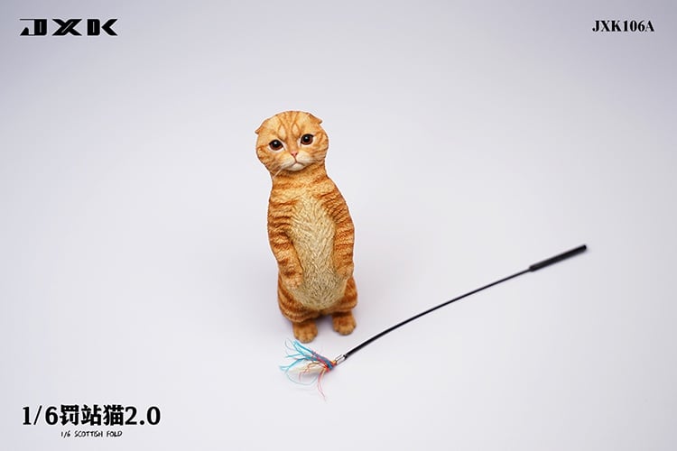 [สั่งจอง]JXK : Scottish Fold/Chckling/Duckling