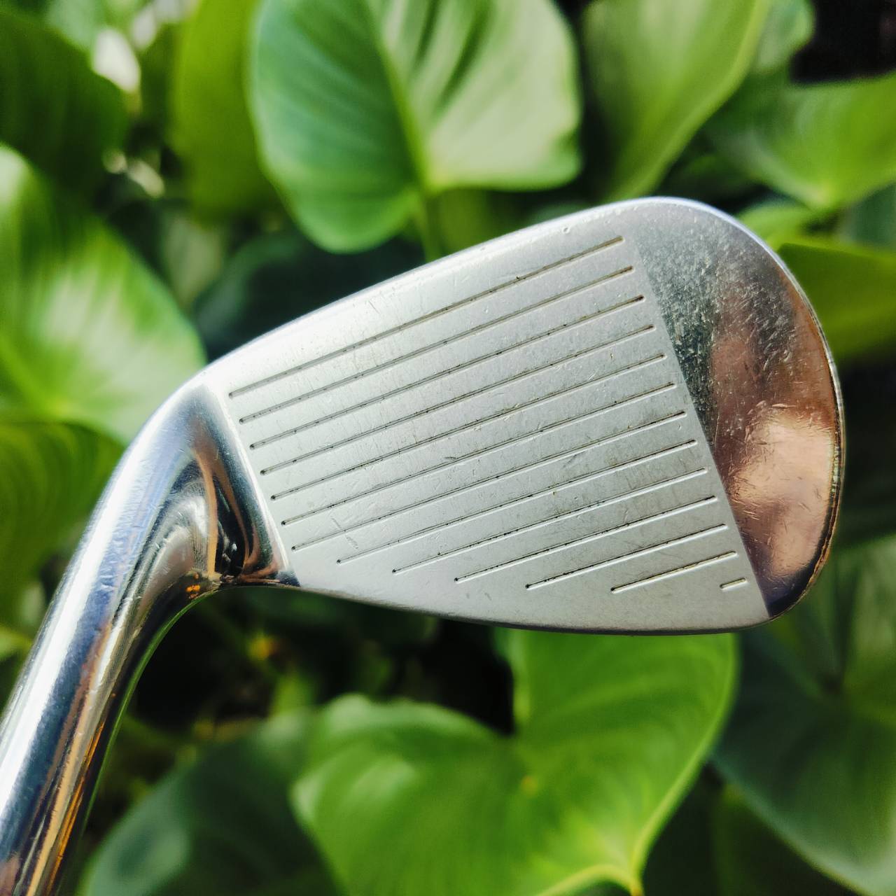เหล็ก 8 Titleist MB FORGED 710 ** ก้านสติ๊กเกอร์หาย แต่ที่ลอง** ความแข็งประมาณ FLEX SR ค่ะ เหล็ก FORGED หลังกล้าม เต็มๆ ตีมันส์ ควบคุมลูกได้ตามใจต้องการ