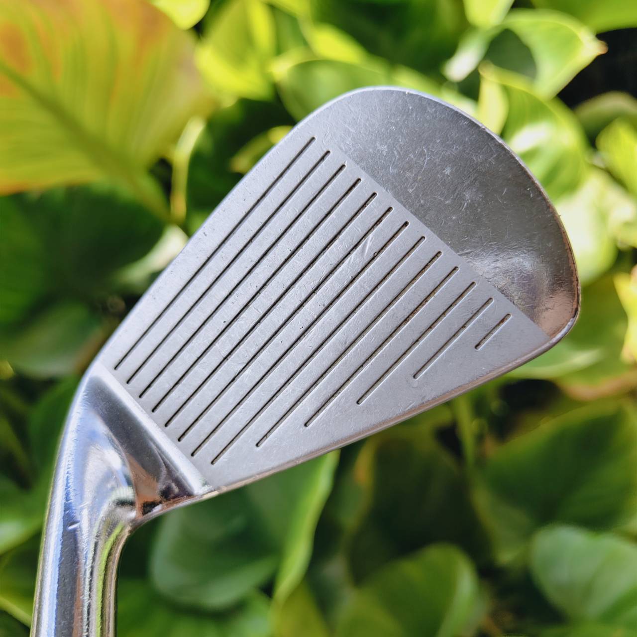 ชุดเหล็กตีไกล!!! MARUMAN CONDUCTOR ผลิตโดย Endo Japan – โรงฟอร์จชื่อดัง คุณภาพดีที่สุดในโลก