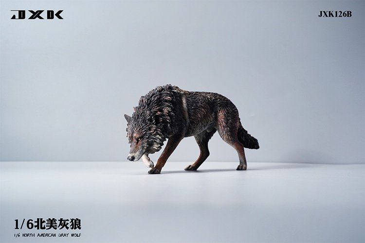 [พร้อมส่ง ] JXK JXK126 1/6 : North American Grey Wolf