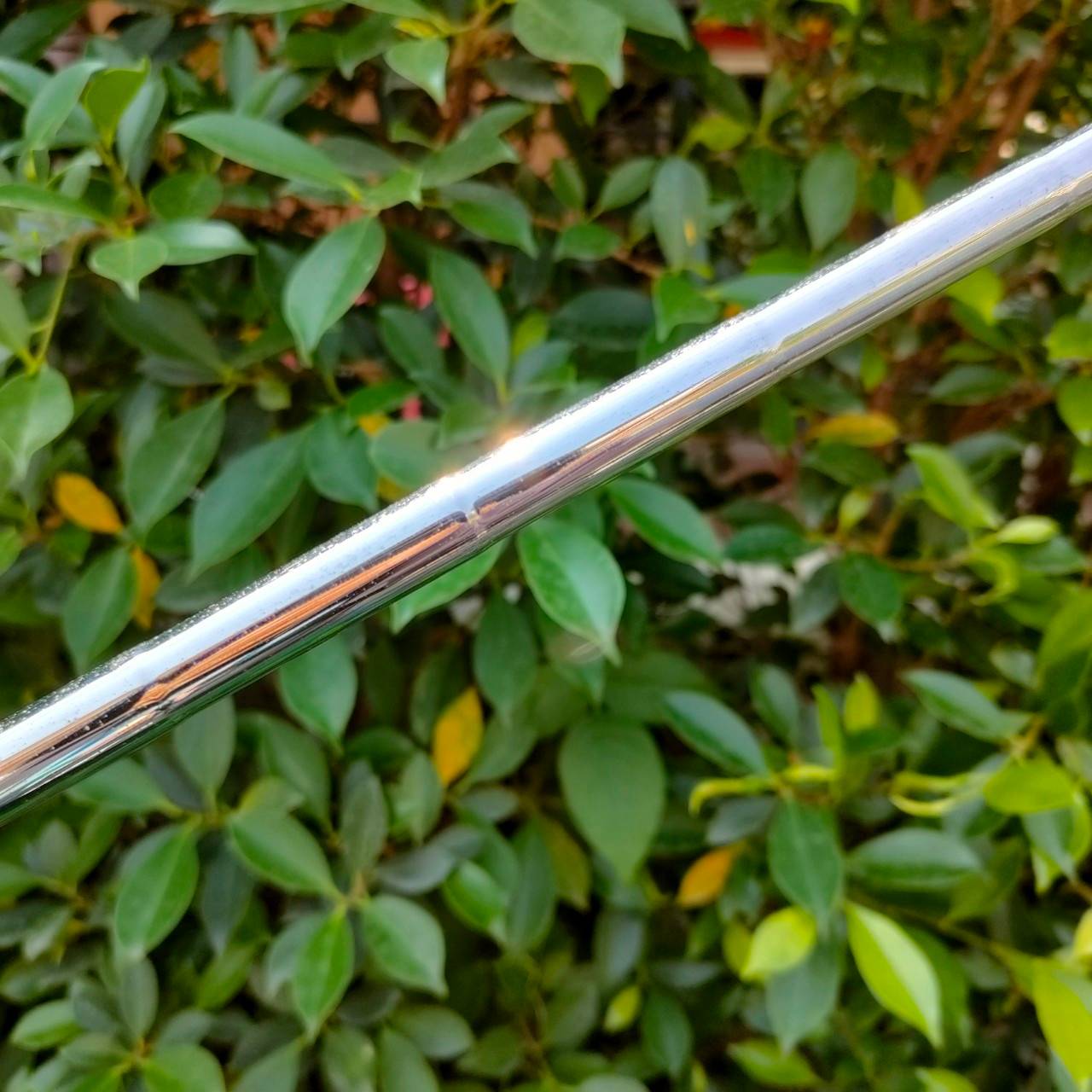 WEDGE LYNX องศา 56 BOUNCE 14 FLEX WEDGE สุดยอด WEDGE สับๆ