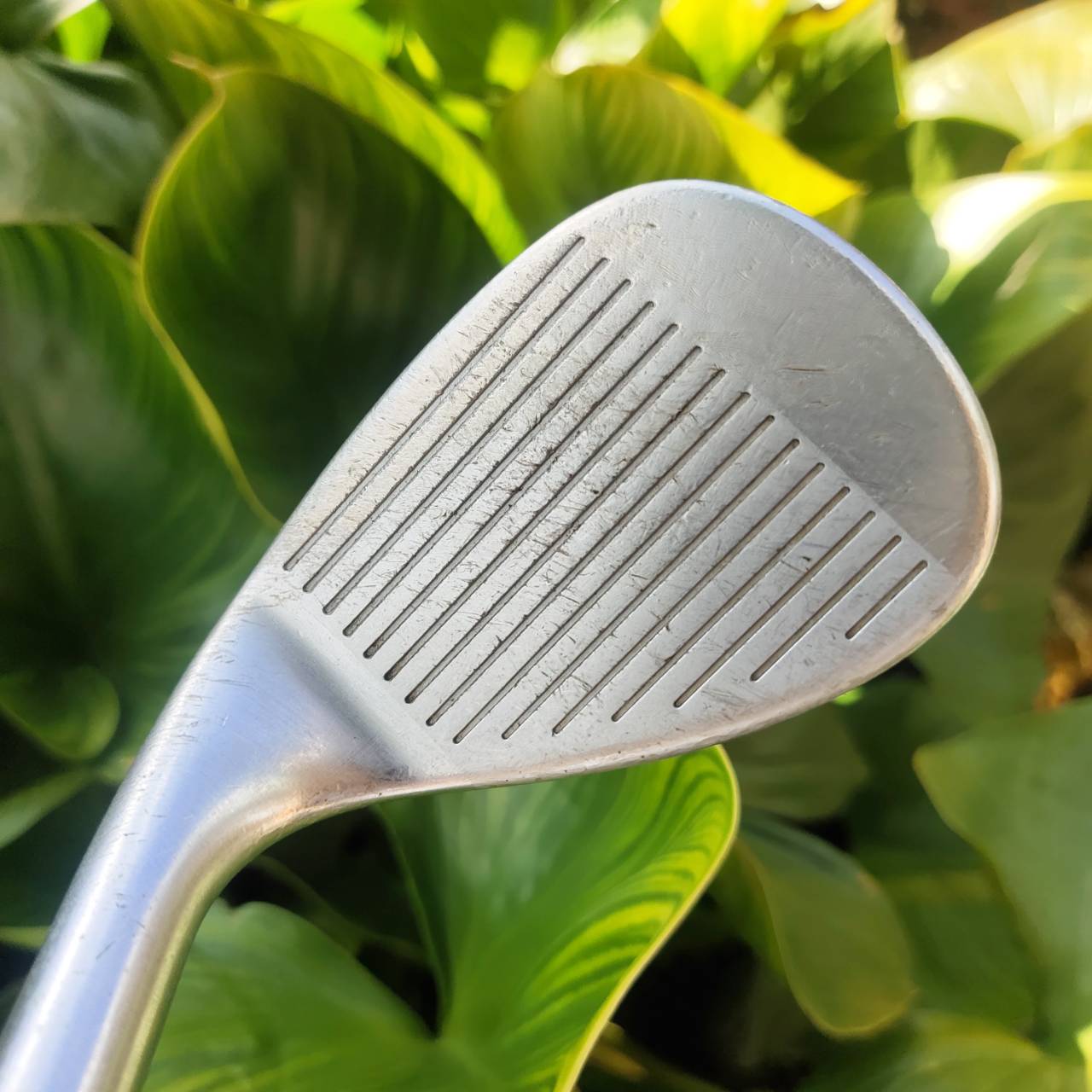 WEDGE CLEVELAND CG10 องศา 54 หนึ่งจุด LOW BOUNCE หน้าใบยังสวย ร่องทำงานได้เต็มที่ ตกหยุดๆ