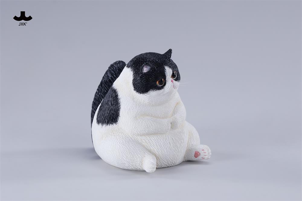 [สั่งจอง]XK --- Pudgy Cat -