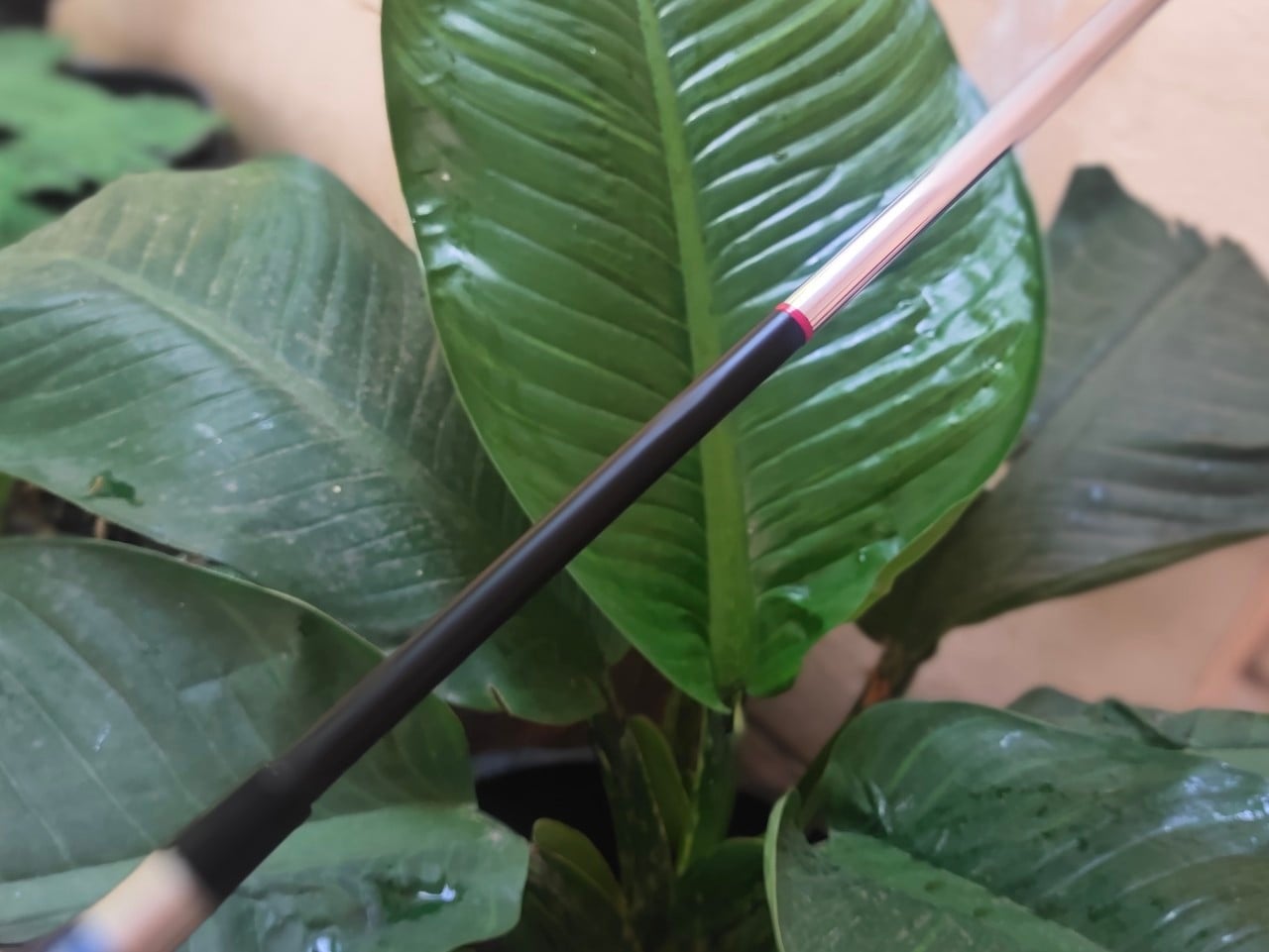 FW 3 ADAMSGOLF GT TIGHT LIES