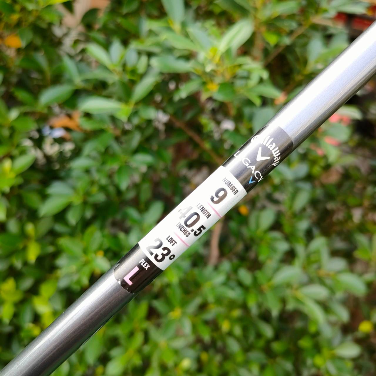**ไม้กอล์ฟสำหรับผู้หญิง** FW9 CALLAWAY LEGACY LADY ก้าน SPEED AMORPHOUS FLEX L เป็นตัวพรีเมี่ยมของ Callaway