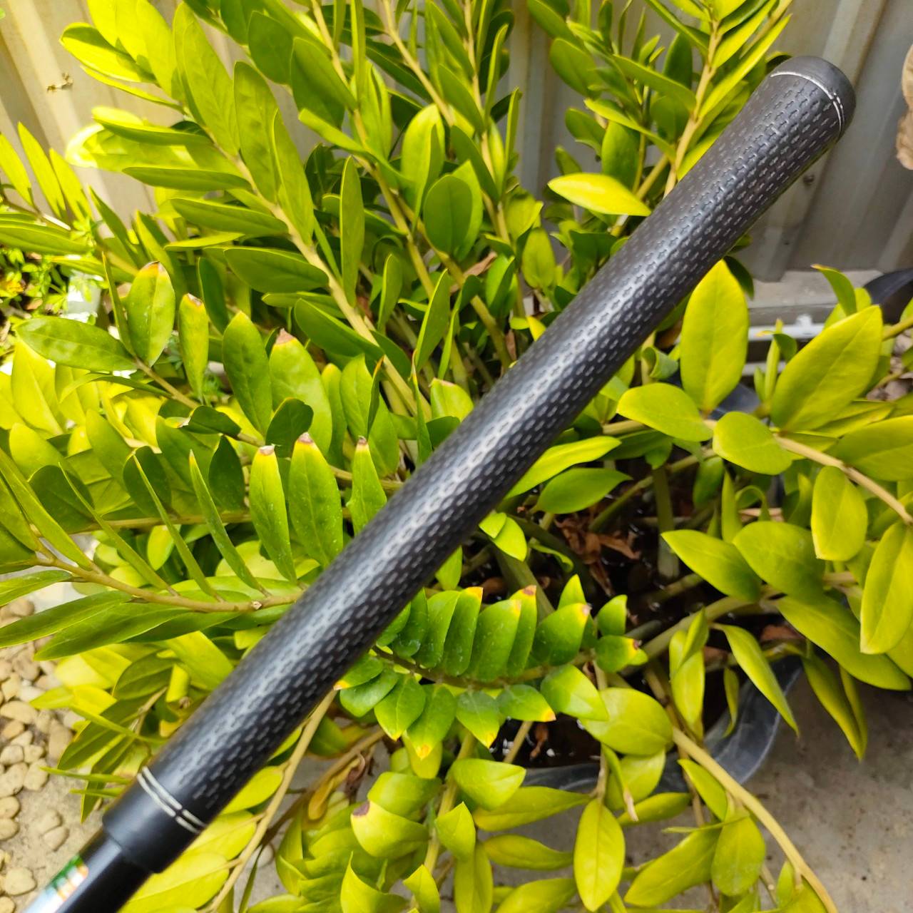 ก้านใส่ FAIRWAY WOODS BASSARA 50 Hi FLEX R ความยาวเฉพาะก้าน 43.5 นิ้ว ติดกริพมาด้วยแล้วค่ะ พรีเมี่ยมญี่ปุ่น ไม้กอล์ฟพรีเมี่ยมมือสอง ของแท้ By NakaraLuxurious