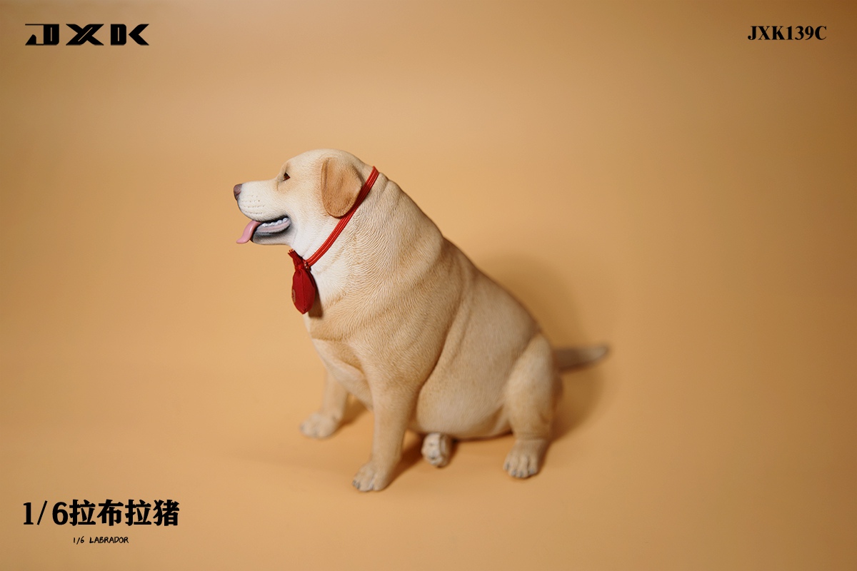[สั่งจอง]JXK 1/6 : Labrador