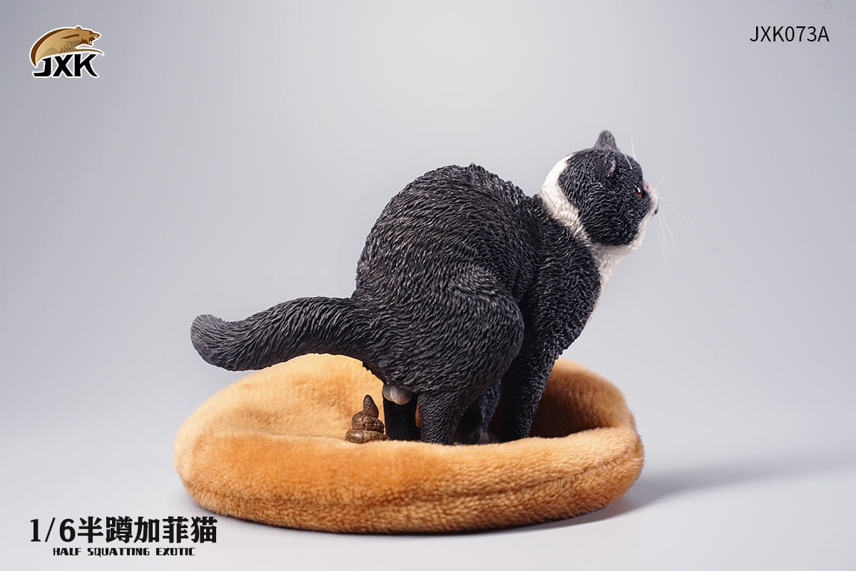 [สั่งจอง]JXK JXK073 ABCD 1/6 : Half squatting ExoticShorthair