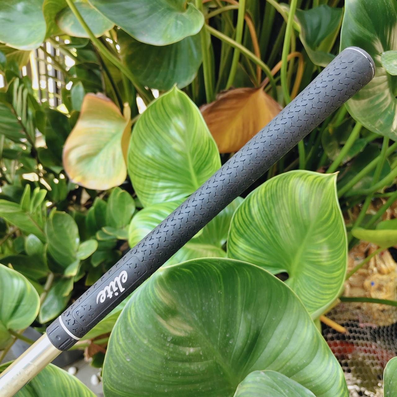 FW 3+ ROMARO RAY TYPE R – TOUR SELECT ⛳ ก้าน BASILEUS (แค่ก้านก็เกินคุ้ม) ของหายาก ทัวร์สเปกแท้ๆ!