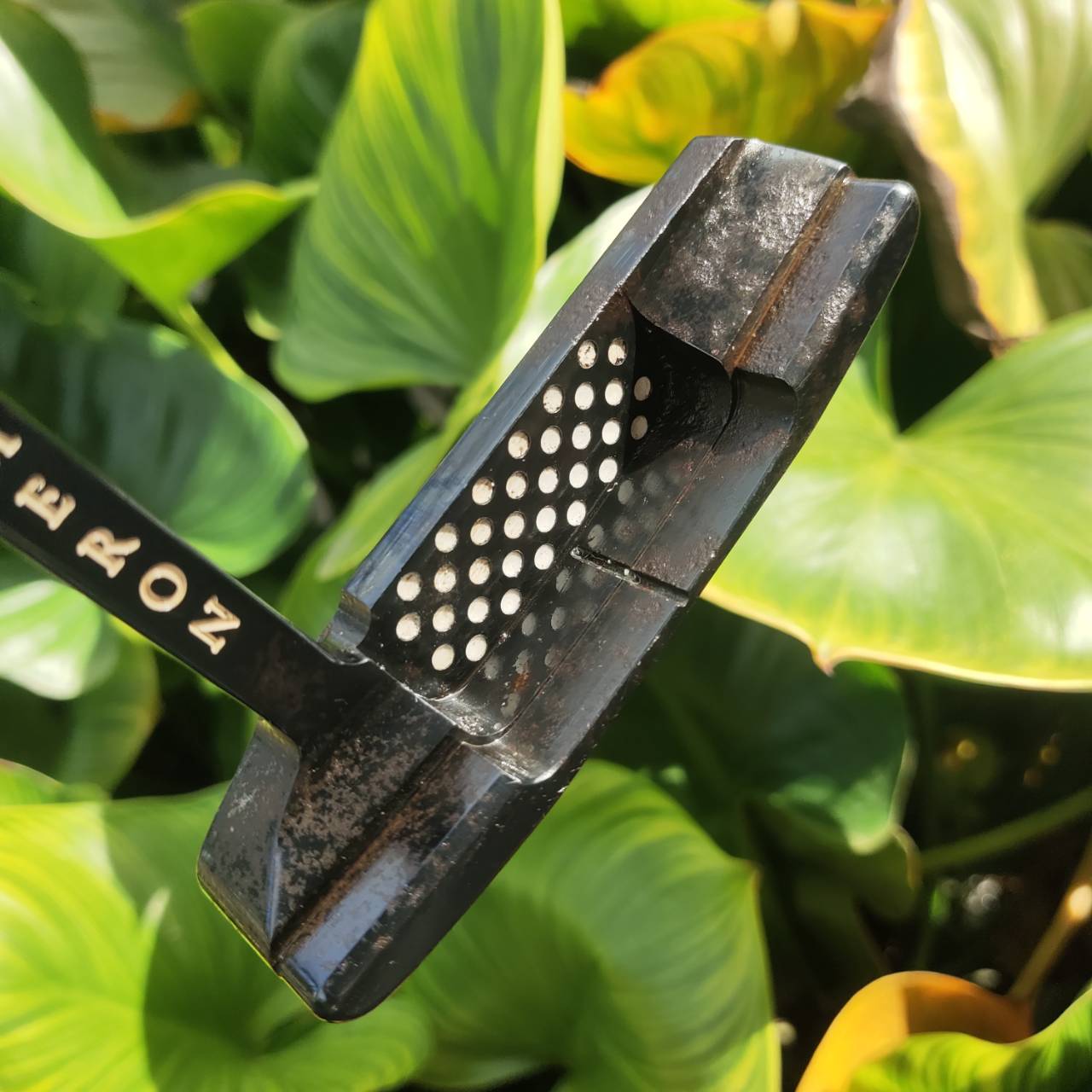 สุดยอดของ CAMERON Teryllium/Tel³ (อัลลอย์ 12 โลหะ) PUTTER Scotty Cameron Newport® 2 Long Neck