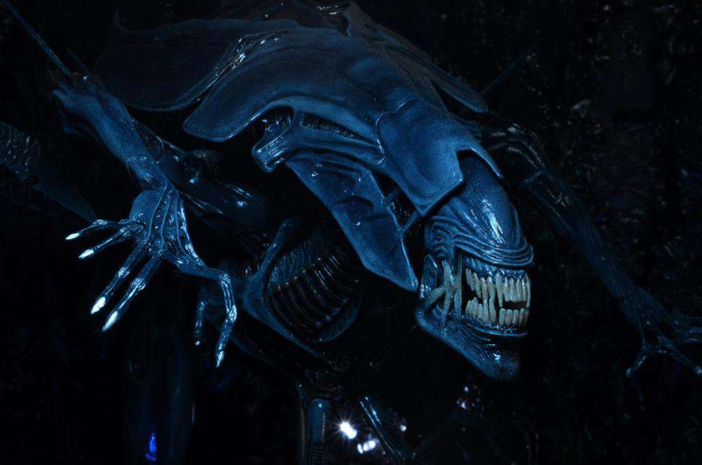 [สั่งจอง] Neca : Alien [Reissue]