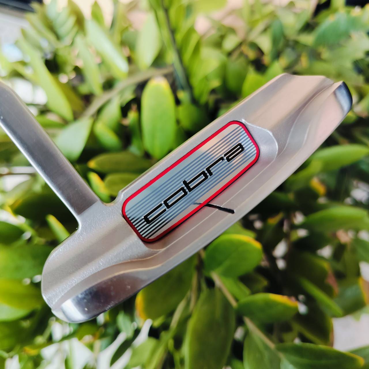 Cobra Golf Milled Face Blade Putter ความยาว 34 นิ้ว สุดยอดของพัตเตอร์ ไม่แพ้ CAMERON เลยครับ น้ำหนักดีมาก ลูกเกาะไลน์มาก พัตต์ฟีลลิ่งนุ่ม ไม้กอล์ฟพรีเมี่ยมมือสอง ของแท้ By NakaraLuxurious