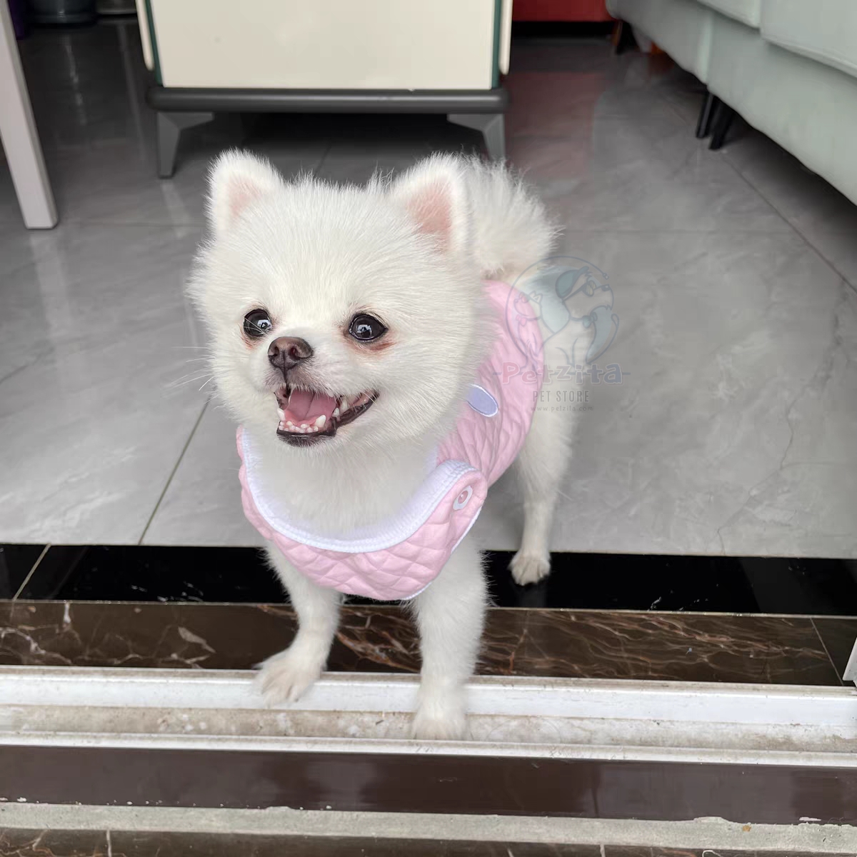 🇹🇭พร้อมส่ง🇹🇭 💗🌈 เสื้อกั๊ก สุดน่ารัก ผ้านุ่มนิ่ม สไตล์ญี่ปุ่น 🇯🇵 for pet สุนัข หมา แมว