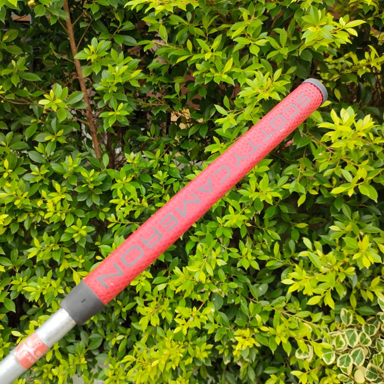 PUTTER TITLEIST SCOTTY CAMERON NEWPORT 2.5 STAINLESS 303 ความยาว 34 นิ้ว