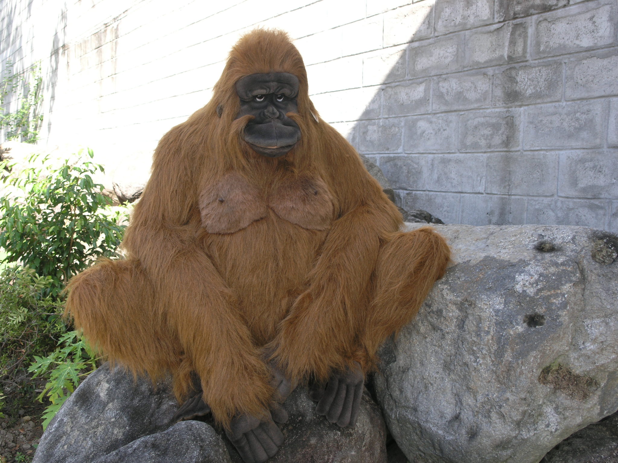 3480 Orangutan Adult Mama 75 cm.H