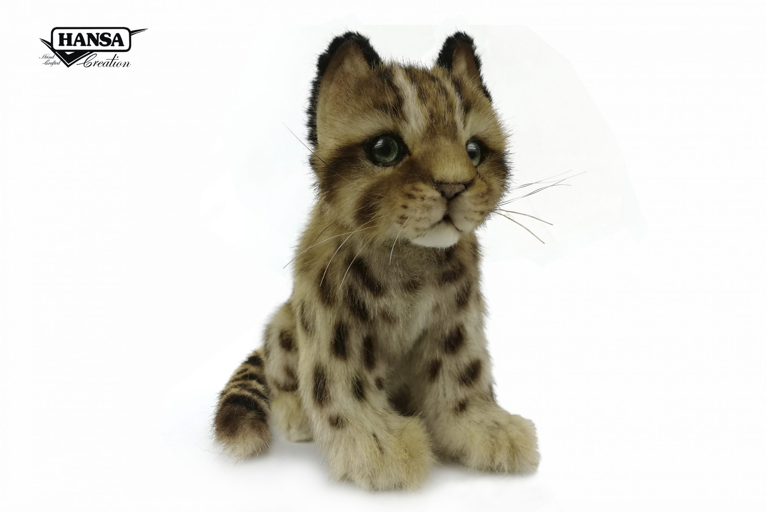 7739 Leopard Cat Shihu Cub 22cm.L