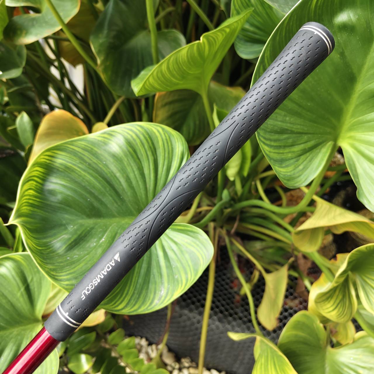 HYBRID TITLEIST H1 816 – องศา 21° “ตีง่าย เข้าลูกเนียน ควบคุมทิศดีมาก”