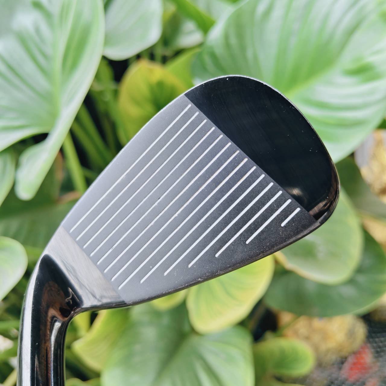 MUTSUMI HONMA PREMIUM MH606 (Iron 4α) – พลังแห่งความนุ่มที่ซ่อนอยู่ในดีไซน์ระดับพรีเมียม