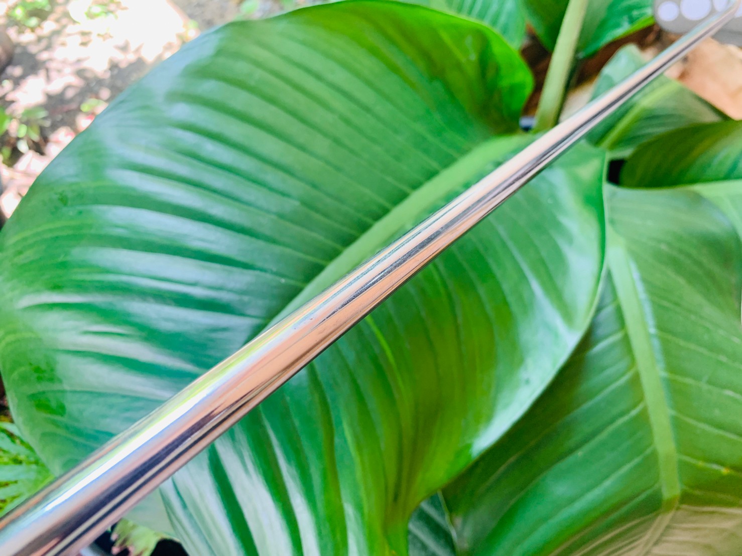 ไม้กอล์ฟครบชุดมือสอง PROKENNEX