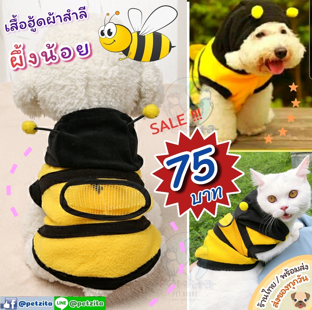 🇹🇭พร้อมส่ง 🐝🐝🐝 BEE น้องผึ้งน้อย 💕🐝🐝🐝 ~ เสื้อฮู้ดแฟนซีผ้าสำลีนิ่ม FOR PET สุนัข หมา แมว สัตว์เลี้ยง